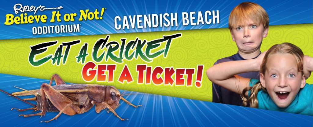 Eat a Cricket Get a Ticket