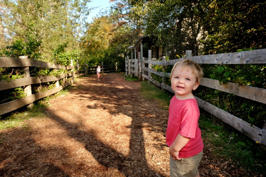 Discovery Woods Path