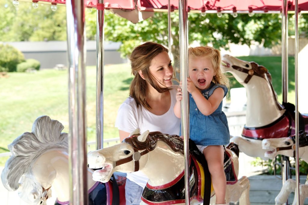 Carousel Attraction