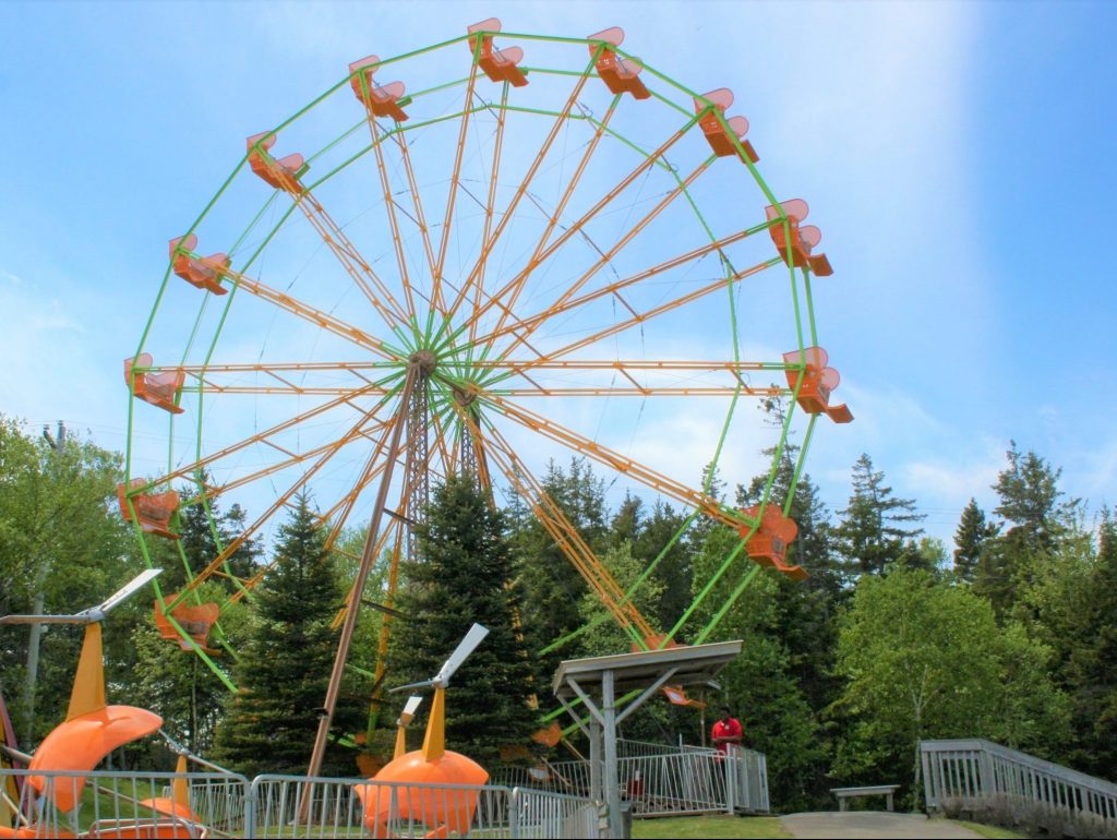 Ferris Wheel Attraction