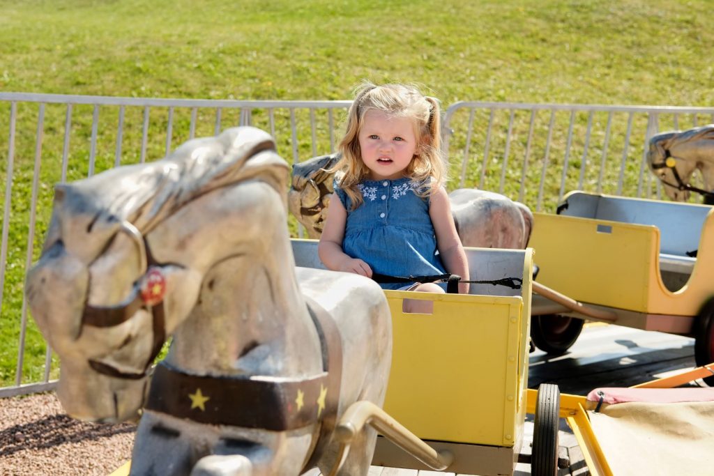 Kiddie Pony Carts Attraction
